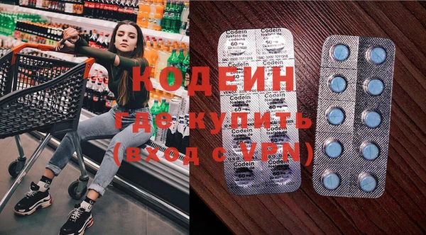 ПСИЛОЦИБИНОВЫЕ ГРИБЫ Инта