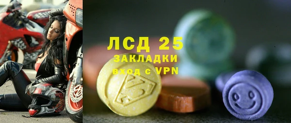 ПСИЛОЦИБИНОВЫЕ ГРИБЫ Инта